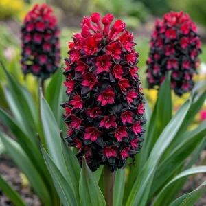 Гиацинт Джем Стоун купить по цене от 2099р. в интернет-магазине «Посадика» с доставкой почтой в в Калач-на-Донуе и по всей России – [изображение №1].