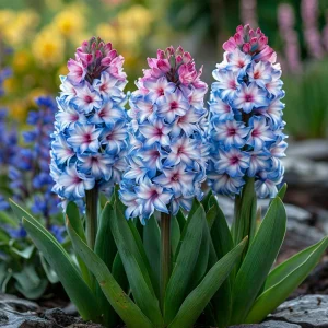 Гиацинт Пинк Мари купить по цене от 2099р. в интернет-магазине «Посадика» с доставкой почтой в в Калач-на-Донуе и по всей России – [изображение №1].