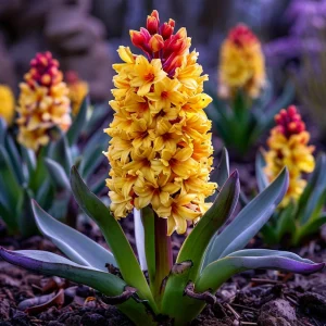 Гиацинт Миднайт Мистери купить по цене от 2099р. в интернет-магазине «Посадика» с доставкой почтой в в Калач-на-Донуе и по всей России – [изображение №1].