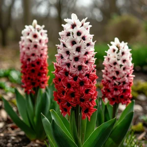 Гиацинт Скай Гарден купить по цене от 2099р. в интернет-магазине «Посадика» с доставкой почтой в в Калач-на-Донуе и по всей России – [изображение №1].