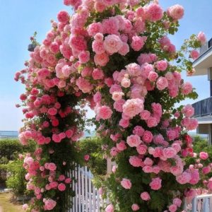 Роза Пастель Розе купить по цене от 605р. в интернет-магазине «Посадика» с доставкой почтой в в Калач-на-Донуе и по всей России – [изображение №1].